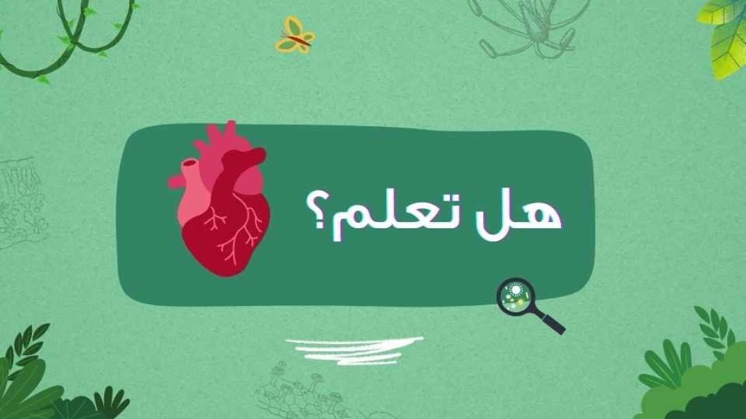 هل تعلم؟...القلب