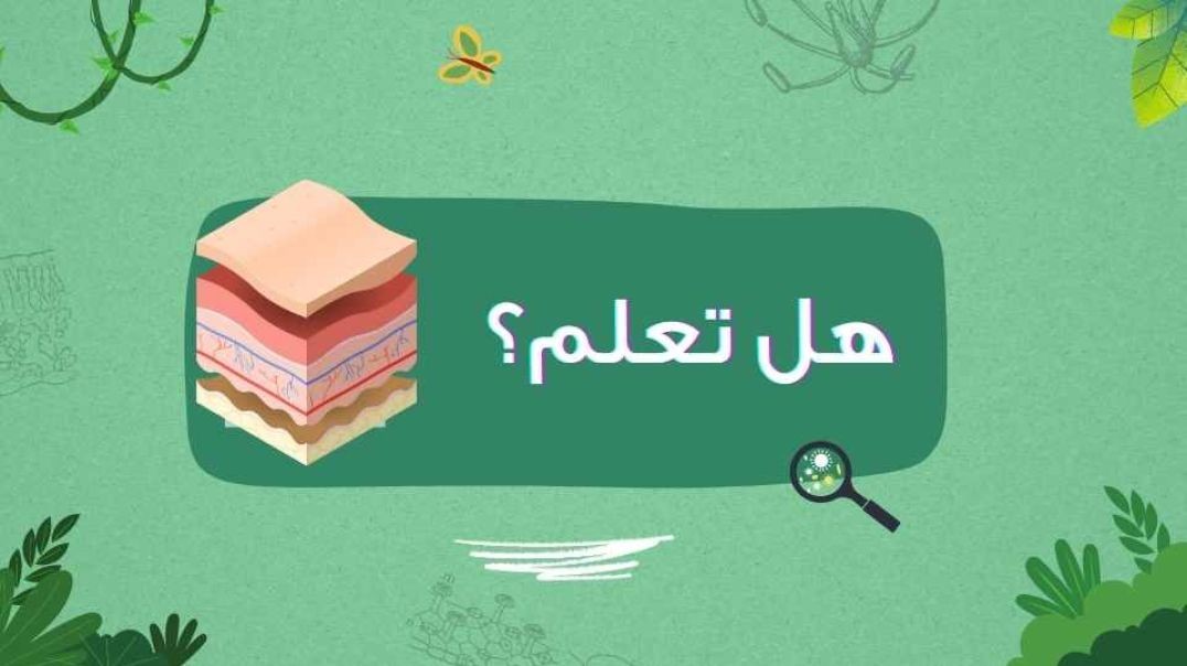 هل تعلم؟...الجلد