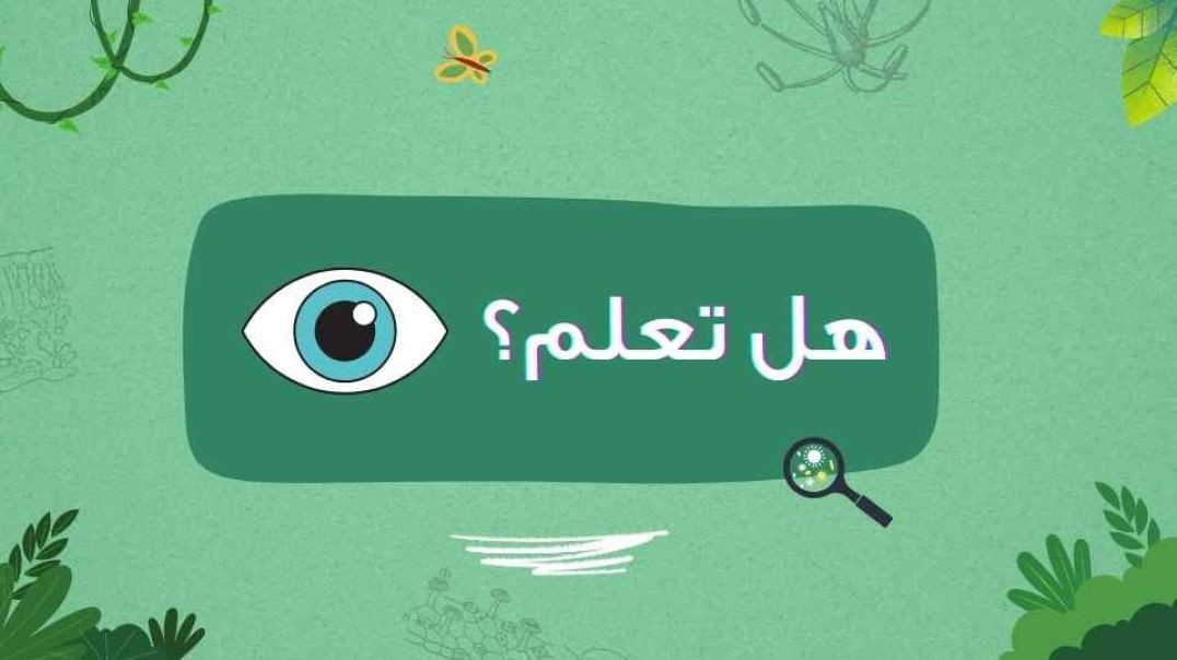 هل تعلم؟...العين البشرية