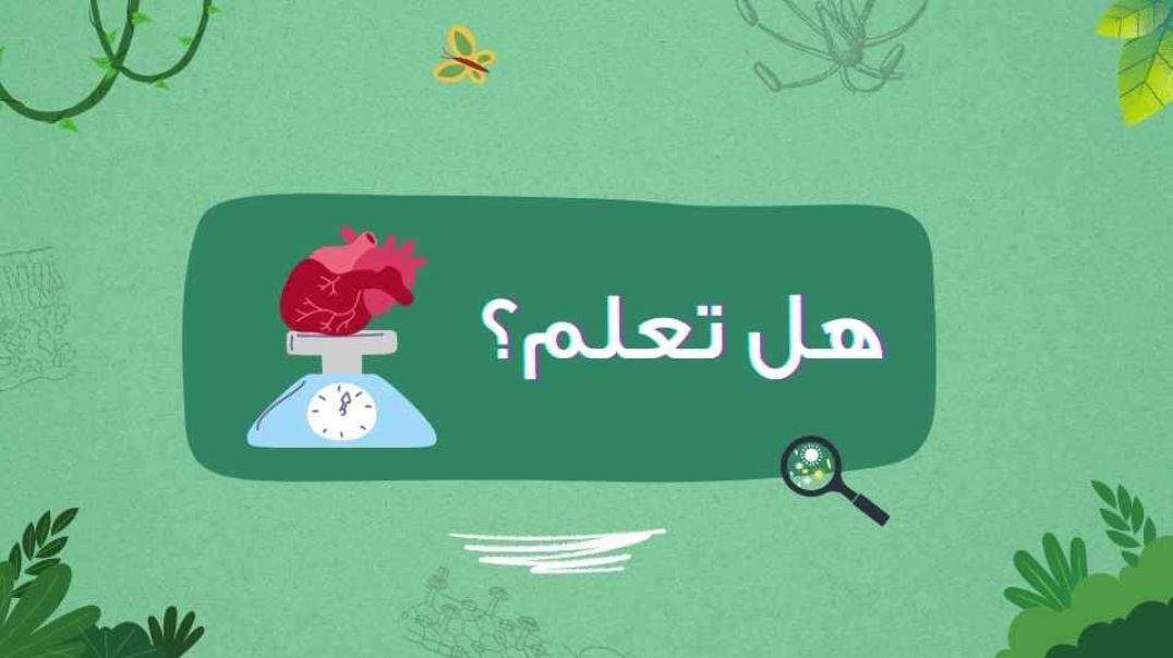 هل تعلم؟...وزن القلب