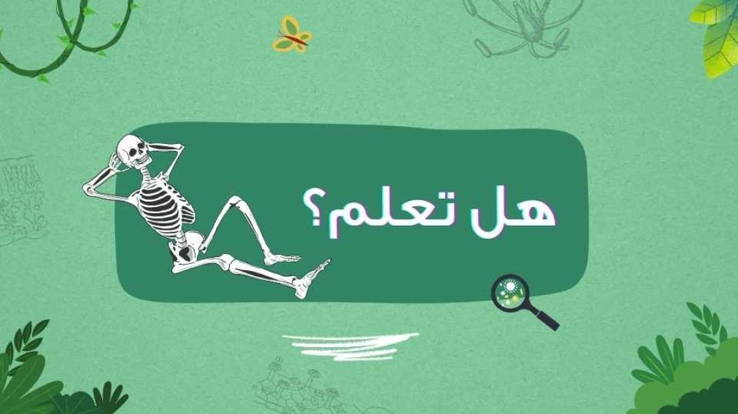 هل تعلم؟...الهيكل العظمي