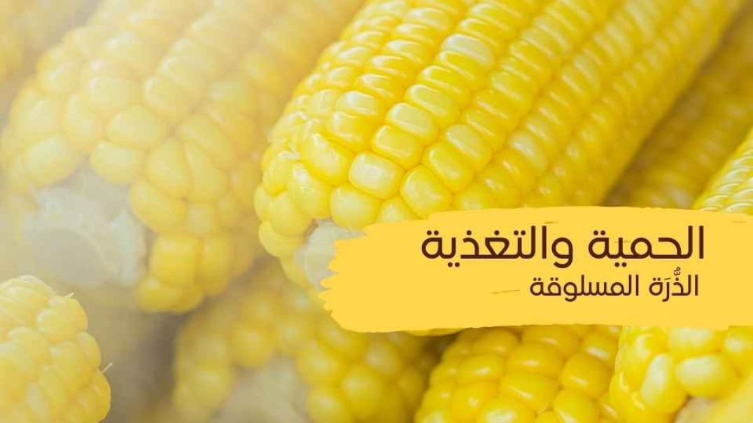 الحمية والتغذية (الذرة المسلوقة)